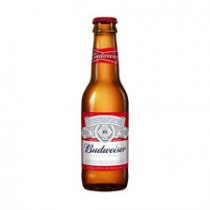 Budweiser 24 pack