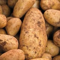 Potatoes 5lb bag