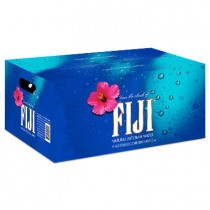 Fiji Water 24/500ml